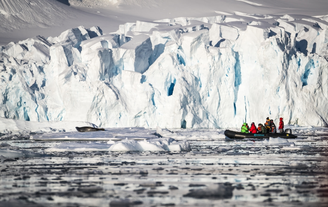 Antarctica - Discovery and learning + Long hikes - gallery 5