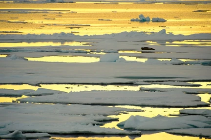 Around Spitsbergen incl. Nordaustlandet - gallery 0
