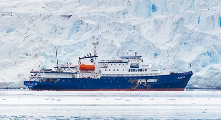 Falkland Islands - South Georgia - Antarctic Peninsula - Photography special - gallery 4