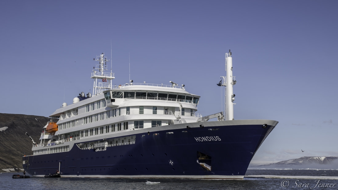 Falkland Islands - South Georgia - Antarctic Peninsula - gallery 7