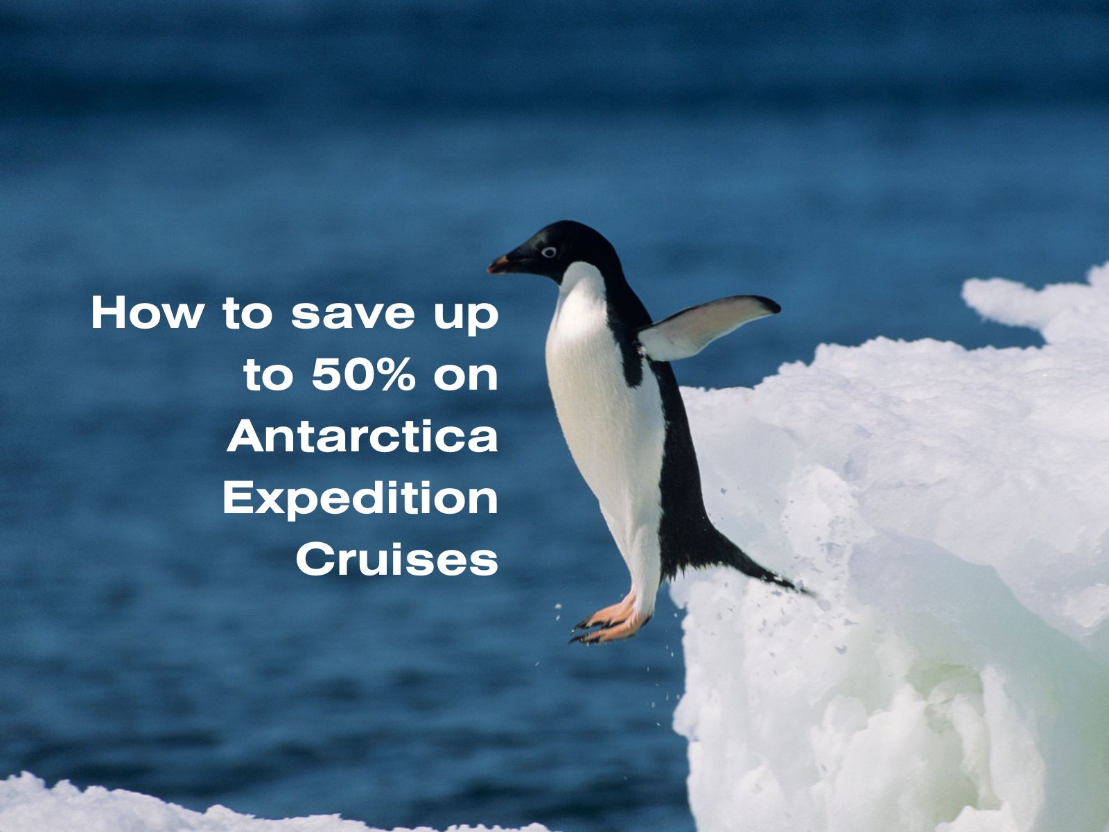 Cheapest Antarctica Cruises: How to Save on Your Journey
