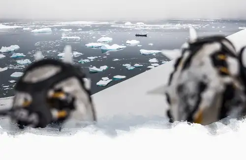 Antarctica - Basecamp - free camping, kayaking, snowshoe/hiking, mountaineering, photo workshop - Nexta Expeditions